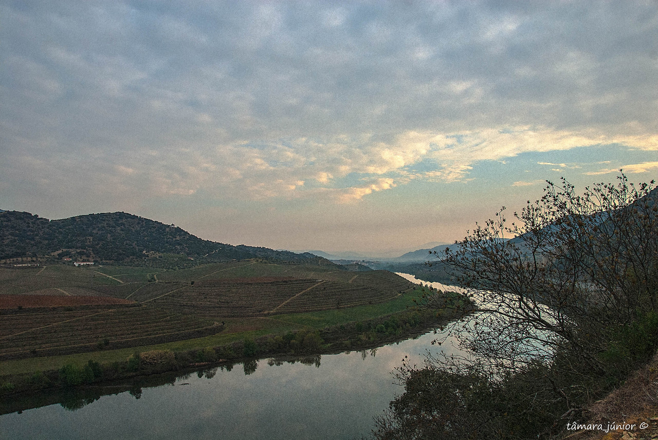 07.- 2012 - Linha Sabor (Pocinho-Moncorvo) 036.jpg