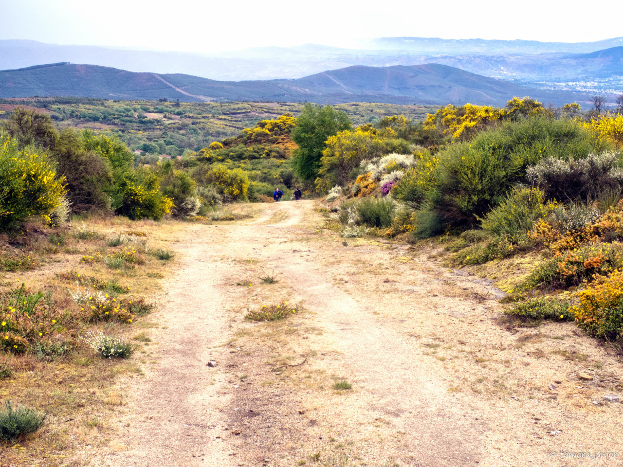 CPIS - 2ª etapa (Verín-Viladerrei) (152).jpg