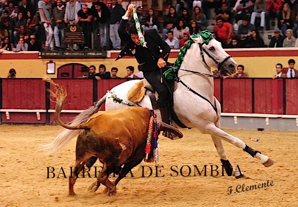 barreira de sombra22-22-40-DSC_9822.JPG barreira de sombra22-22-40-DSC_9822.JPG