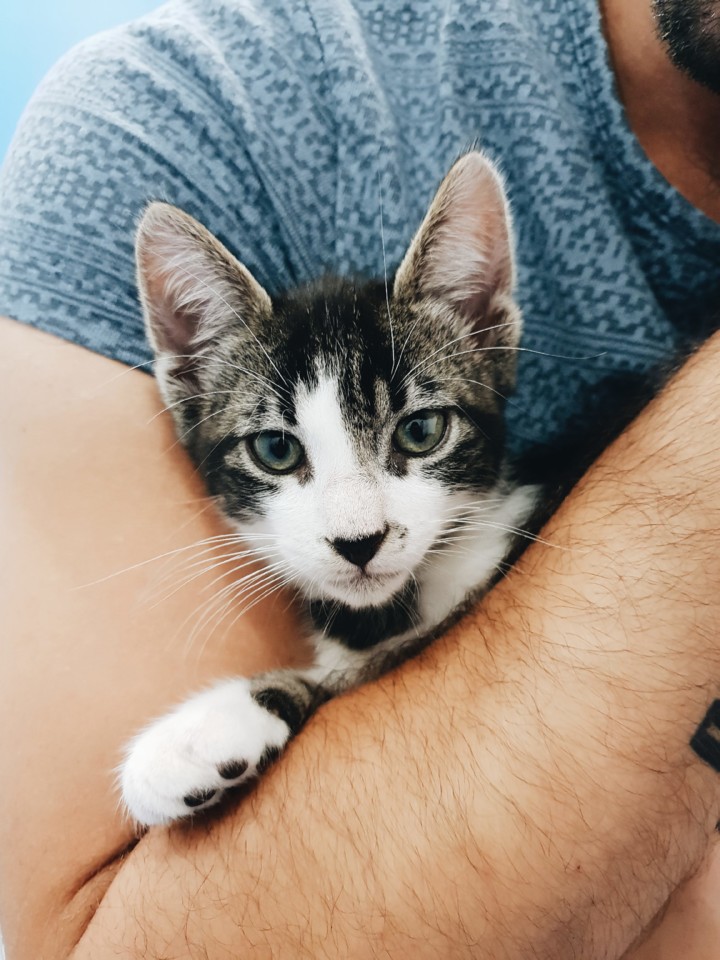 risotto.jpg risotto.jpg