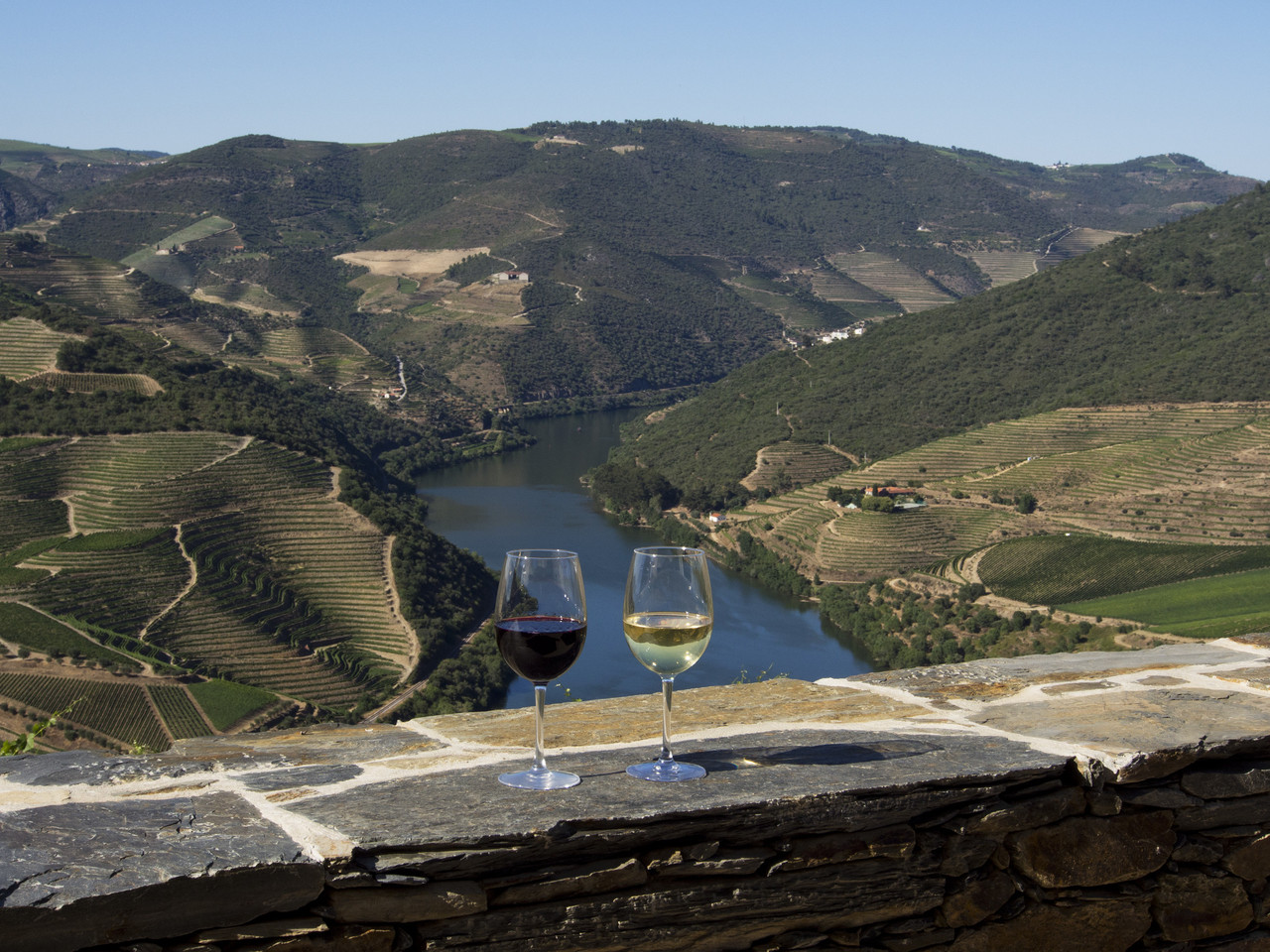 Enoturismo na Quinta das Carvalhas