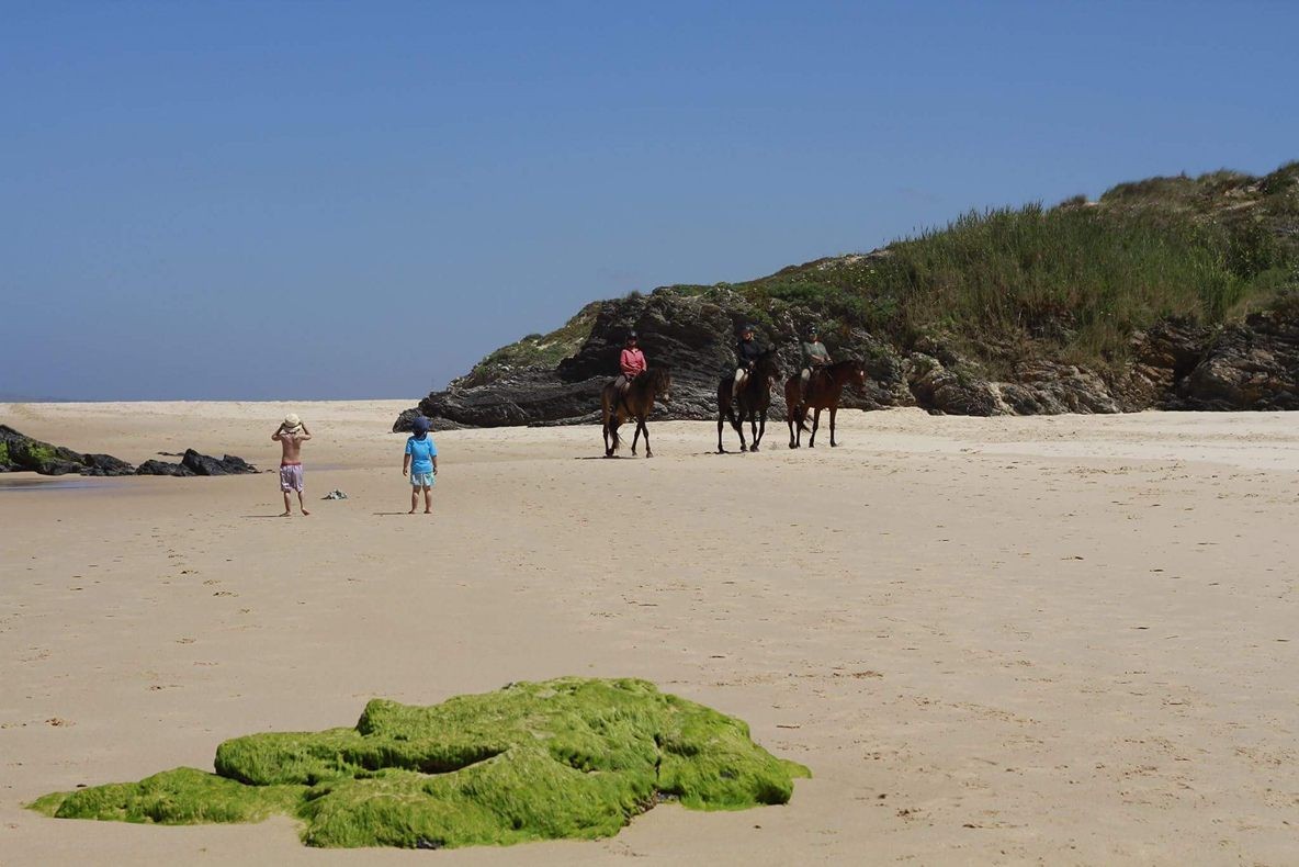 13575712_10154949344917786_61094397_o.jpg 13575712_10154949344917786_61094397_o.jpg