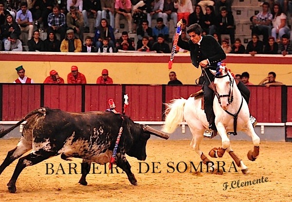 barreira de sombra31-31-55-DSC_9890.JPG barreira de sombra31-31-55-DSC_9890.JPG