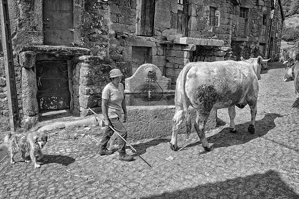 _JMF7035 - Cópia.jpg