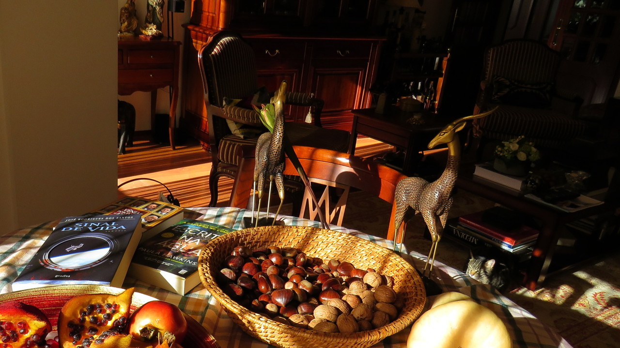 2017-11-11 15-51-13_0042.jpg 2017-11-11 15-51-13_0042.jpg