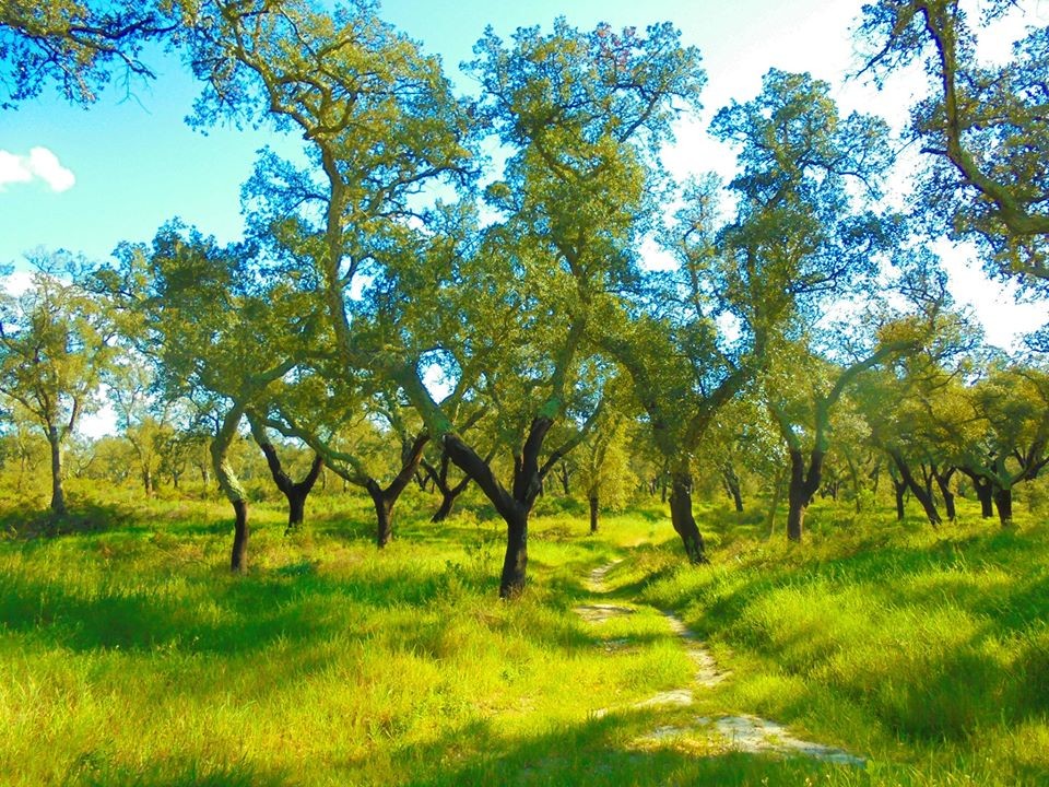 89679900_2888927257812186_6415109873683398656_o.jp 89679900_2888927257812186_6415109873683398656_o.jp