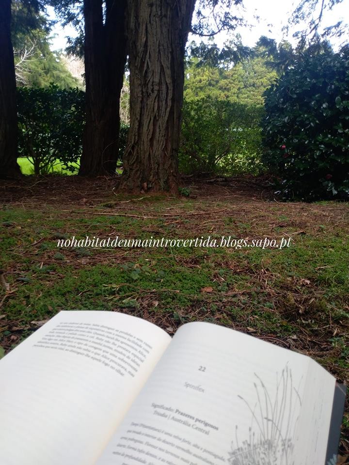 Parque das 7 Fontes.jpg