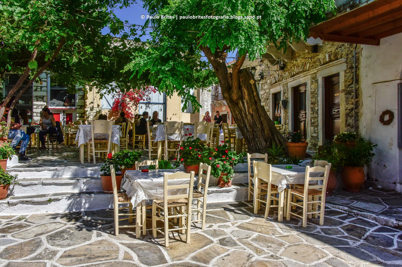 DSC_11352-1-2.jpg DSC_11352-1-2.jpg