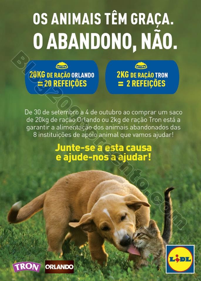 lidl especial pets_008.jpg