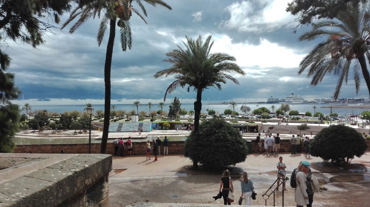 IMG_0242.JPG IMG_0242.JPG