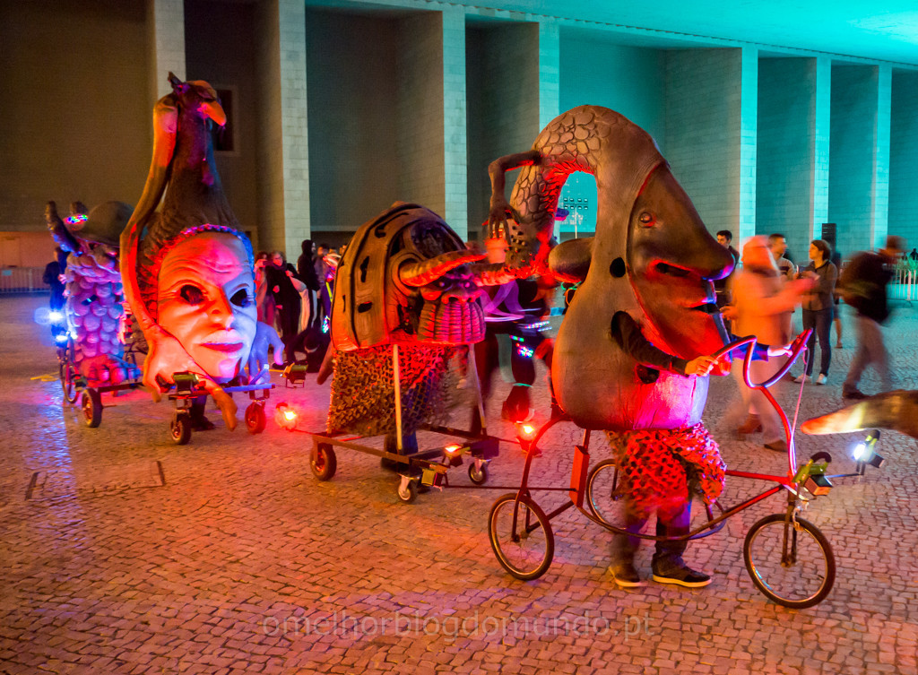 P5270158.jpg P5270158.jpg