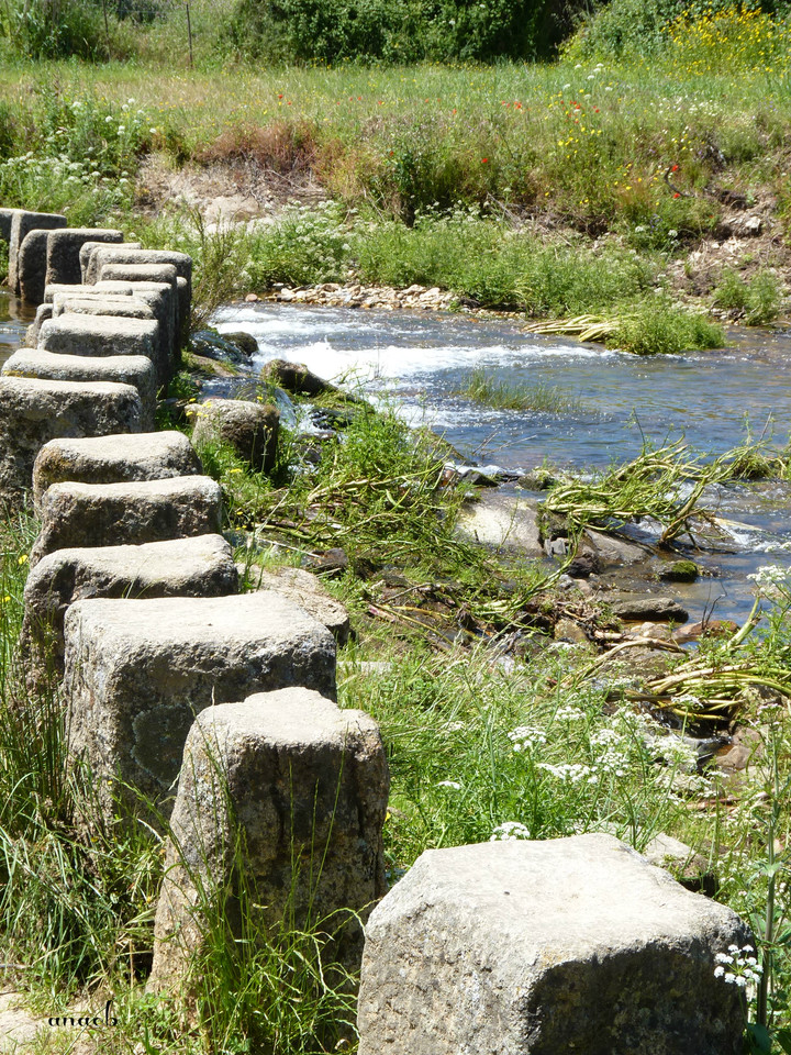 Idanha-a-Velha (90) Poldras.jpg