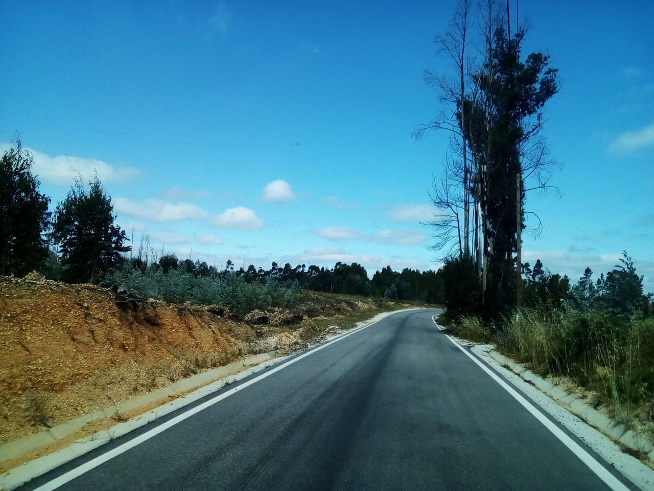 IMG_20180626_103340.jpg IMG_20180626_103340.jpg