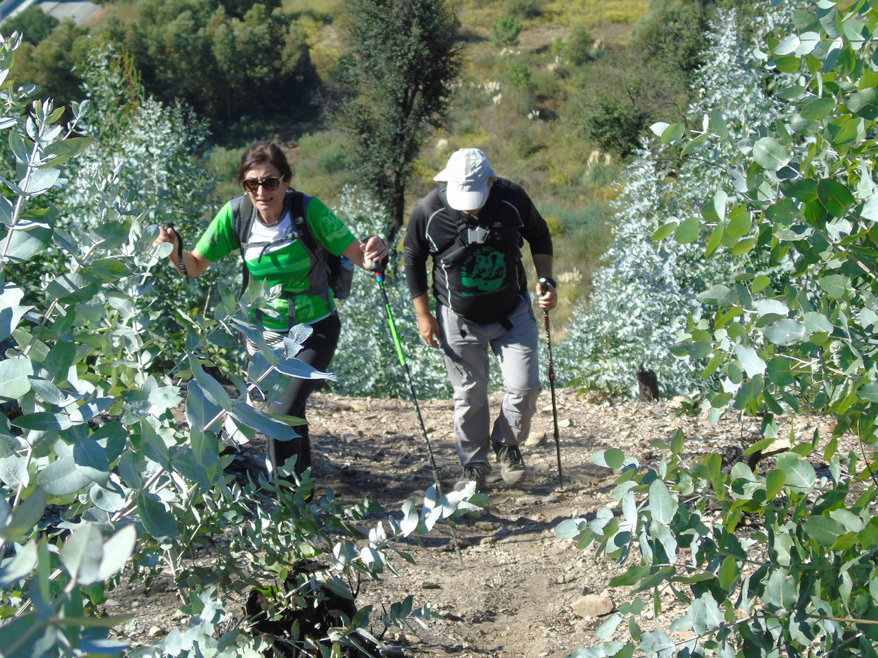 DSC03465.JPG DSC03465.JPG