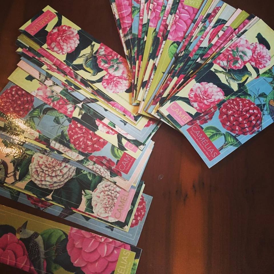 16473959_1341034512627293_2865797945500508477_n.jp