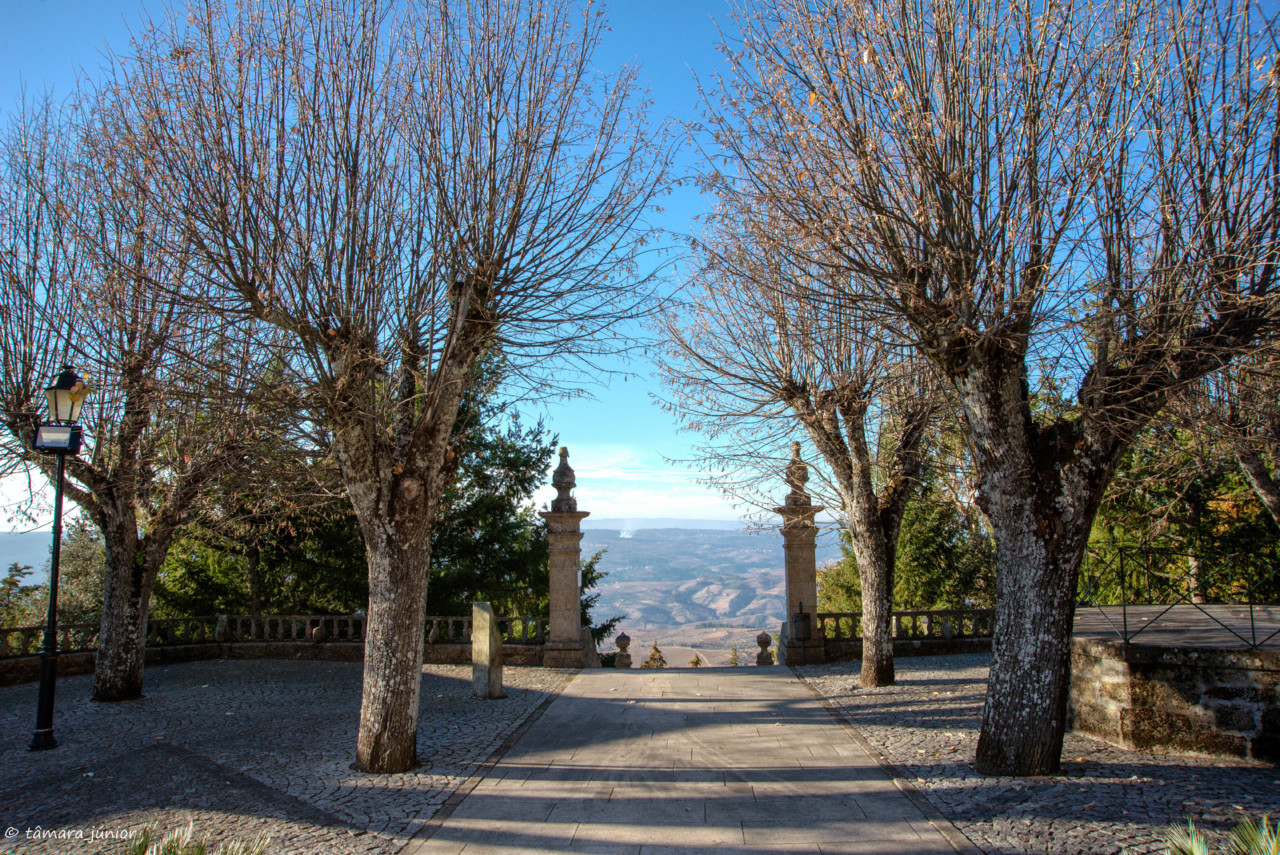 01.- 2017.- Pelo Douro no outono II (556).jpg 01.- 2017.- Pelo Douro no outono II (556).jpg