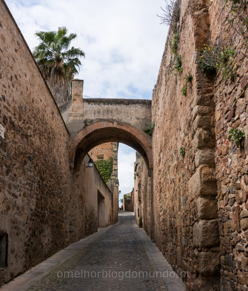 _DSC6241.jpg _DSC6241.jpg