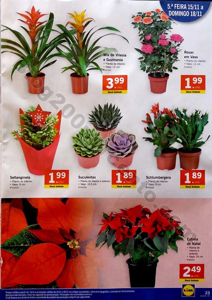 lidl folheto semana 12 a 18 novembro_23.jpg