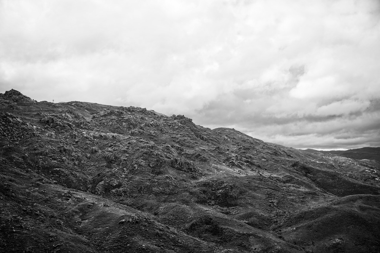 _JMF1378 - cópia copy.jpg _JMF1378 - cópia copy.jpg