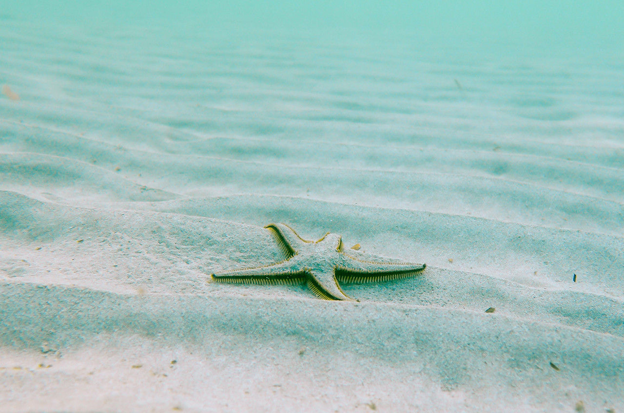 sinto-me tão grata!