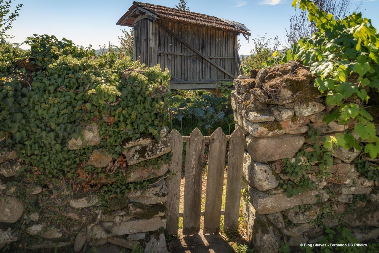 1600-ventuzelos (18).jpg