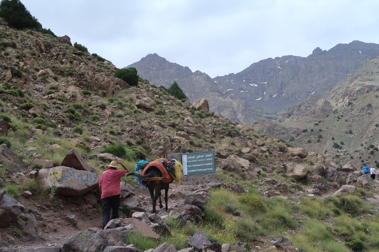 2017-06-16 2017-06-24 001 002.jpg