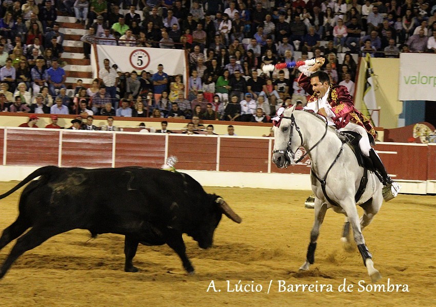 IMG_6983.JPG IMG_6983.JPG