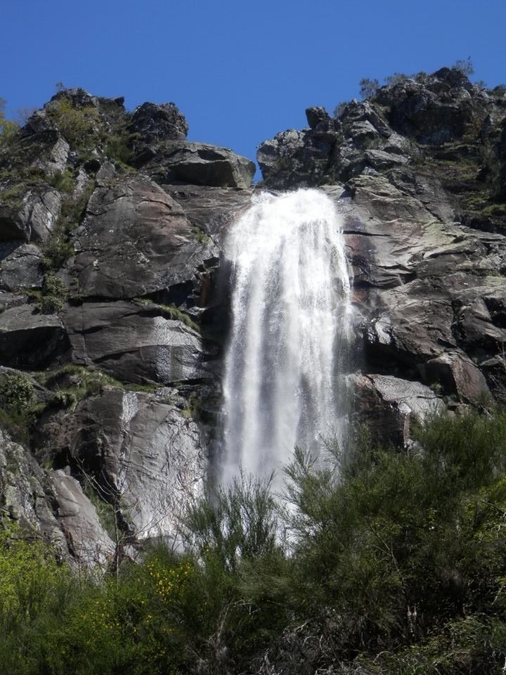 13118952_1171736709504585_3783121568077763559_n.jp