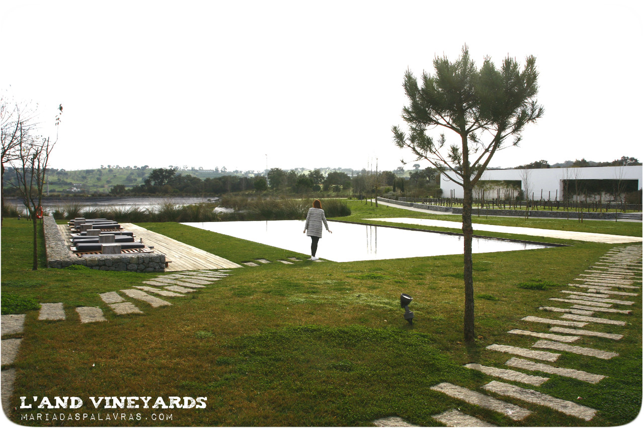 L'AND Vineyards - Odisseias.com | Maria das Palavras