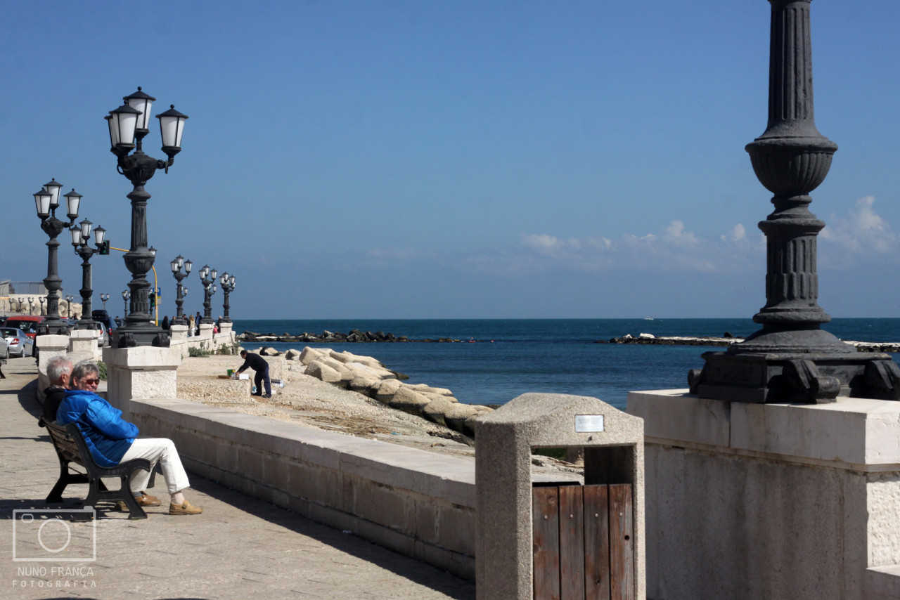 IMG_5737_net.jpg IMG_5737_net.jpg