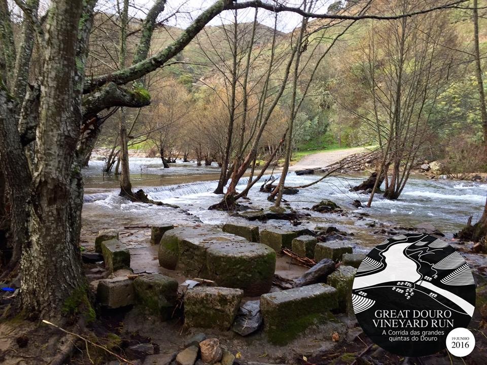 12791070_815345748587602_7335099898866100662_n