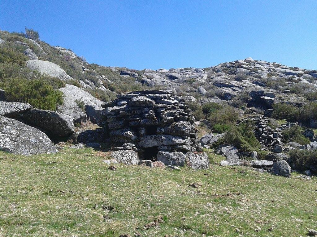 cortelhoseida.jpg cortelhoseida.jpg