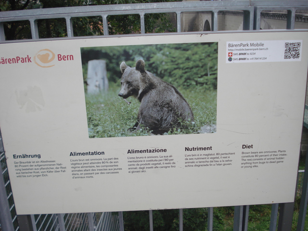 DSC09805.JPG DSC09805.JPG