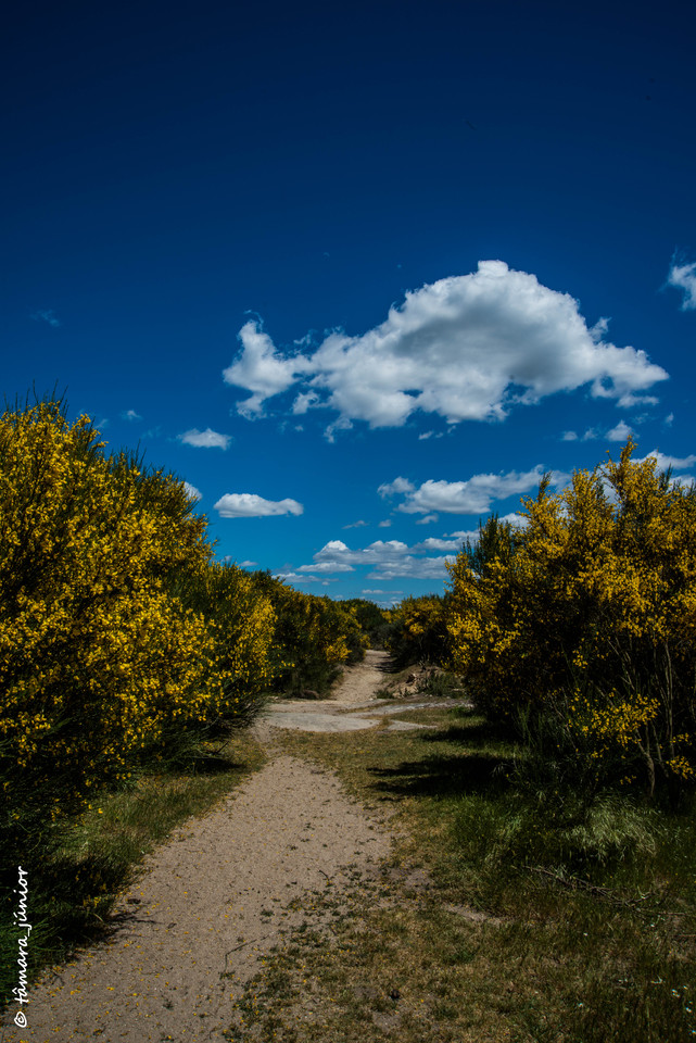 07.- Vagueando pela Montanha.jpg