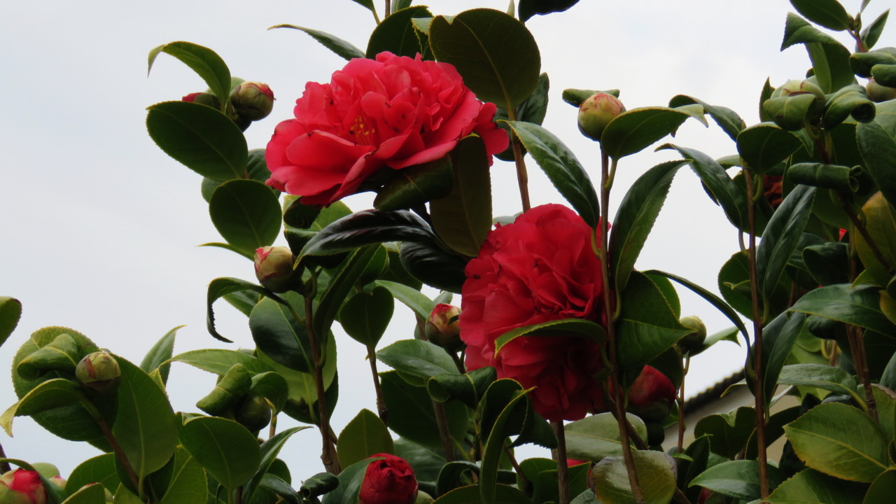 2017-12-24 12-14-47_0083.jpg