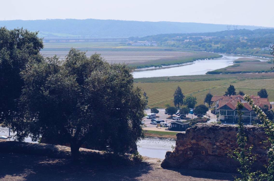 17976091_10154600066696985_2084554758_o.jpg 17976091_10154600066696985_2084554758_o.jpg