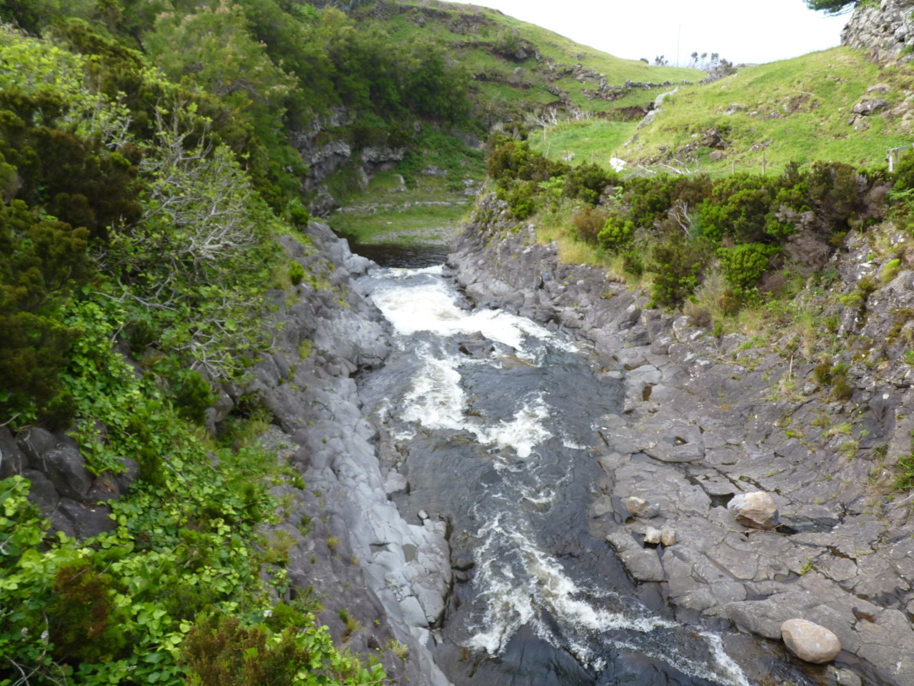 Ribeira do Moinho, Flores (3).JPG