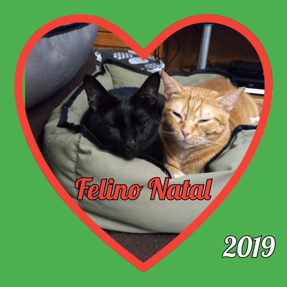 SquarePic_20191221_21021467.jpg SquarePic_20191221_21021467.jpg