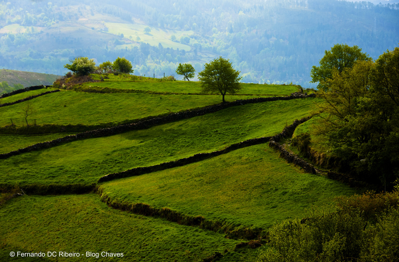 1600-sacoselo (5).jpg