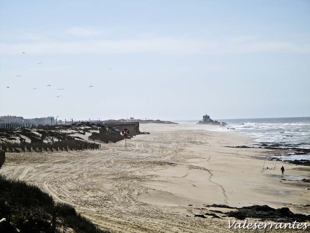 IMG_4257.jpg