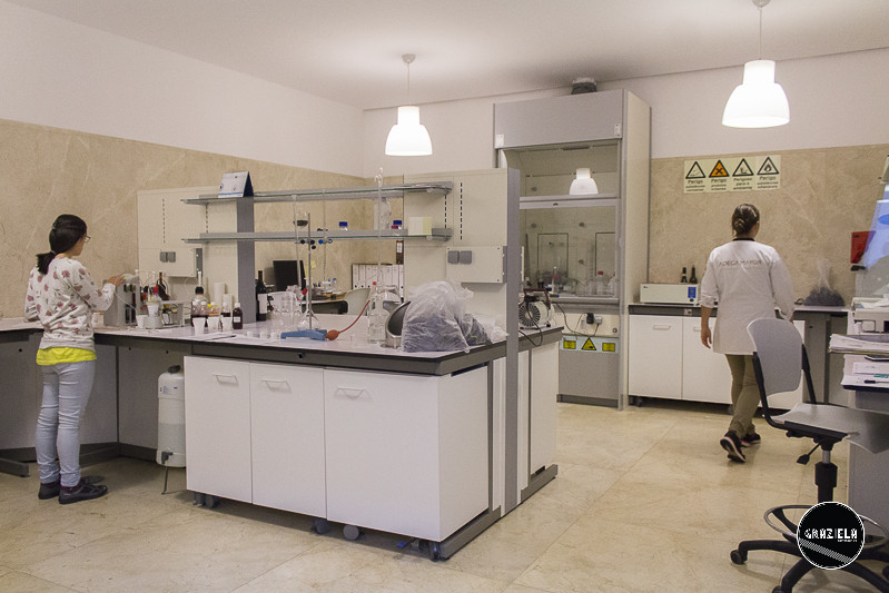 Campo_Maior_Originais-001065.jpg Campo_Maior_Originais-001065.jpg