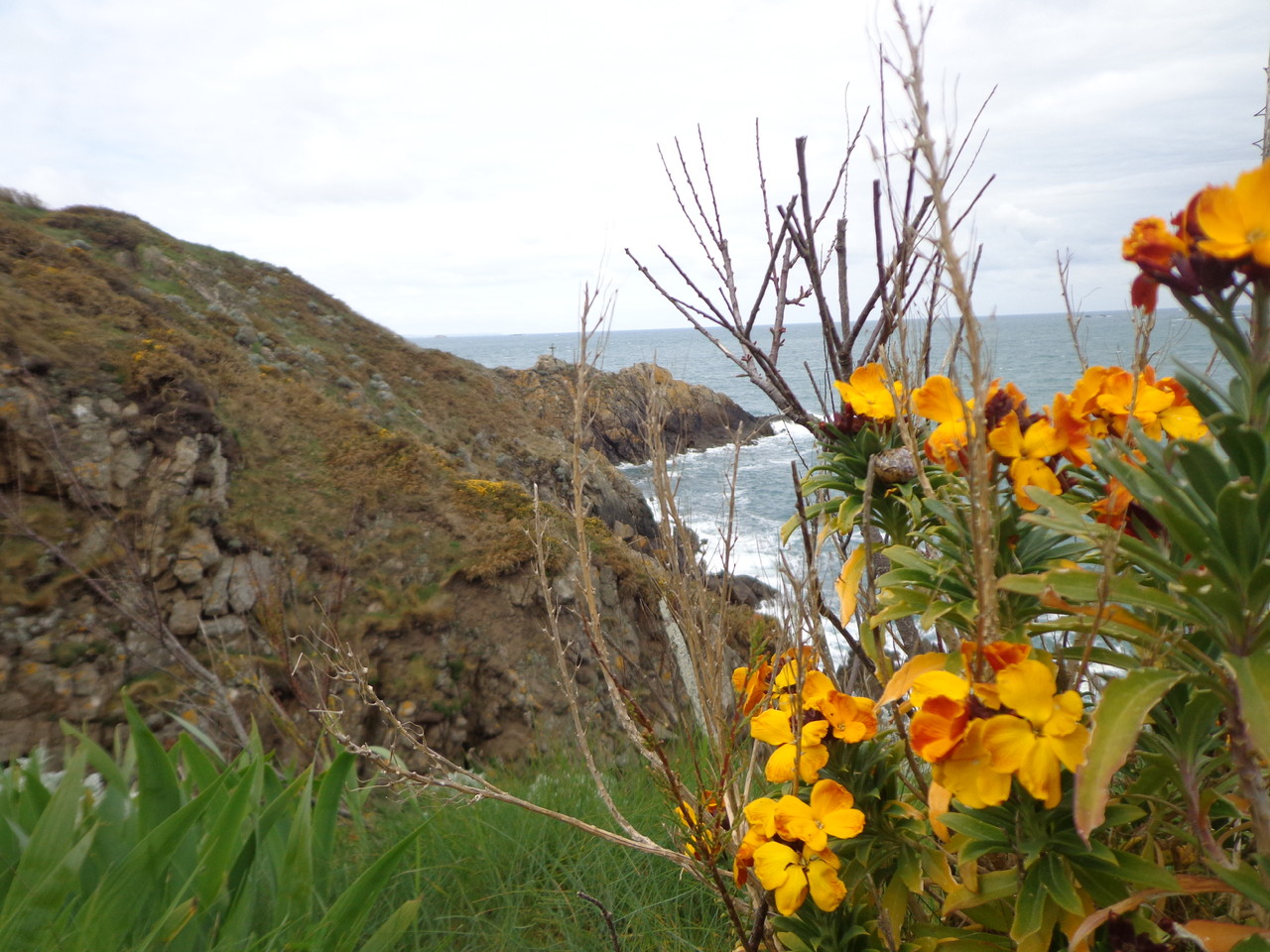 DSC09107.JPG DSC09107.JPG