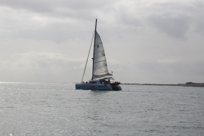 img_8556.jpg img_8556.jpg