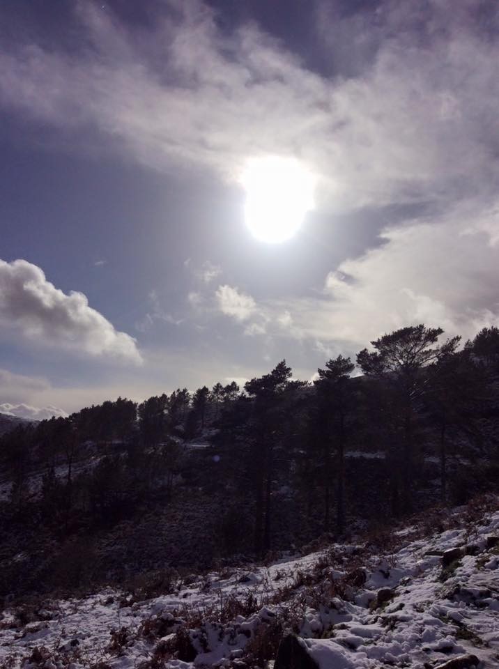 12733646_1654760028121149_5820108474775426233_n.jp