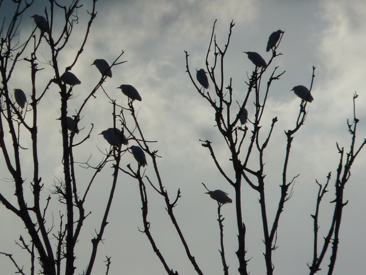 Passeio de barco (6).JPG