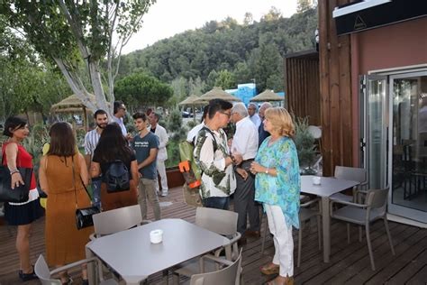 external-content.duckduckgo.jpeg external-content.duckduckgo.jpeg