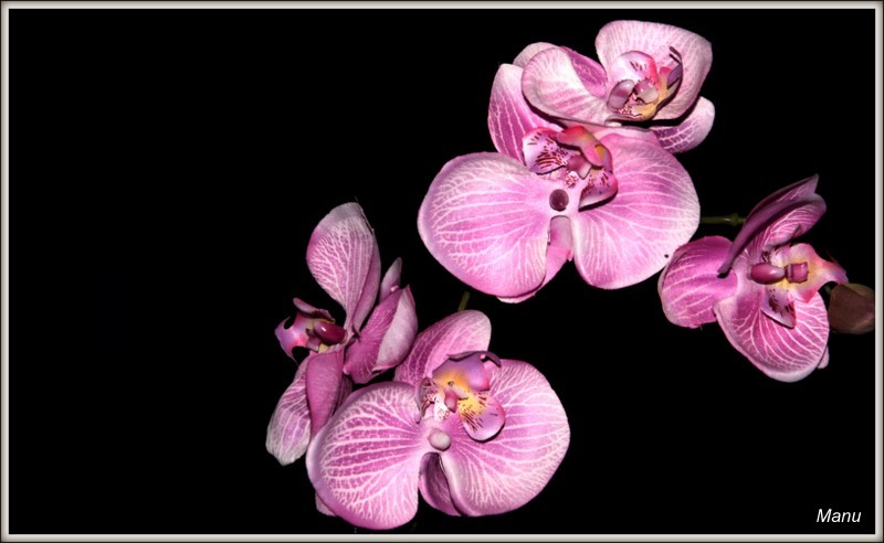 aniversário 133 (2).jpg