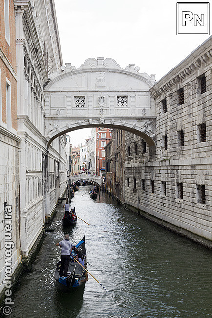 _MG_0966 650px.jpg _MG_0966 650px.jpg