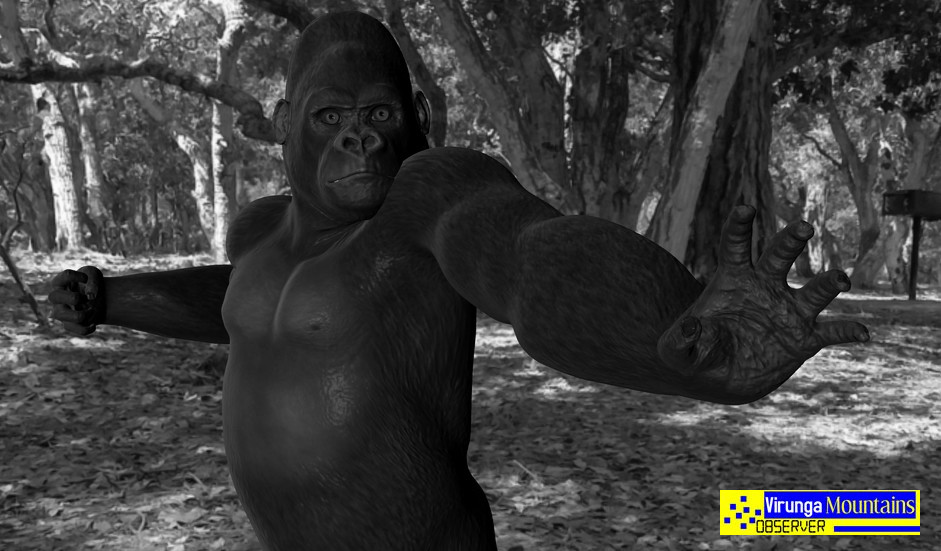 Joram Jojo Joram Jojo