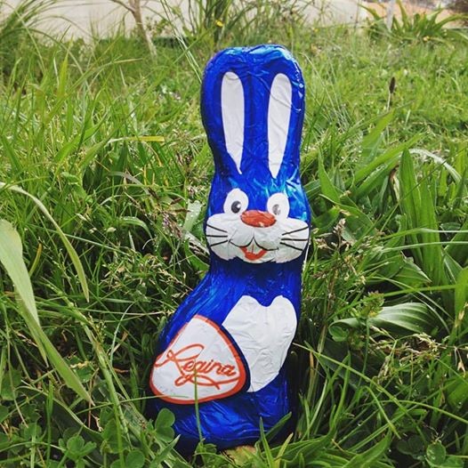 12920521_10156630842905648_6084995972101560668_n.j